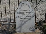 image number 36 Thomas James Manning
